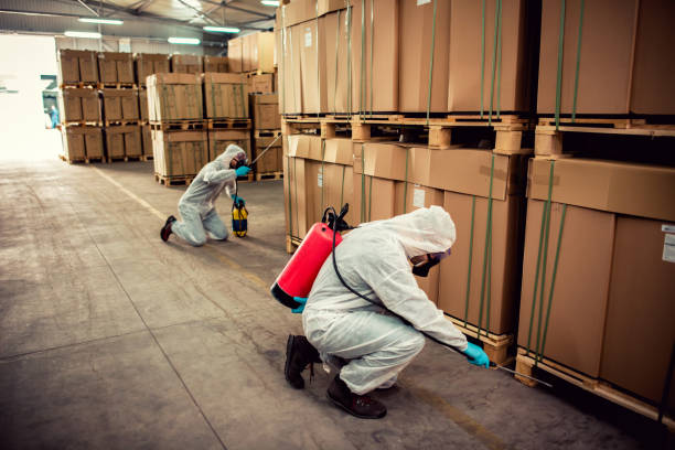Best Wildlife Control Services  in Oracle, AZ