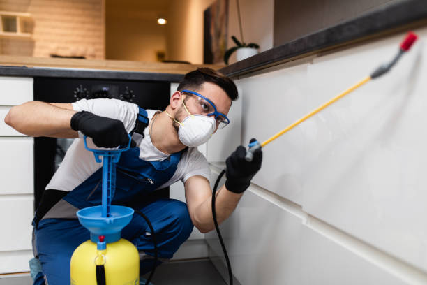 Best Residential Pest Control  in Oracle, AZ