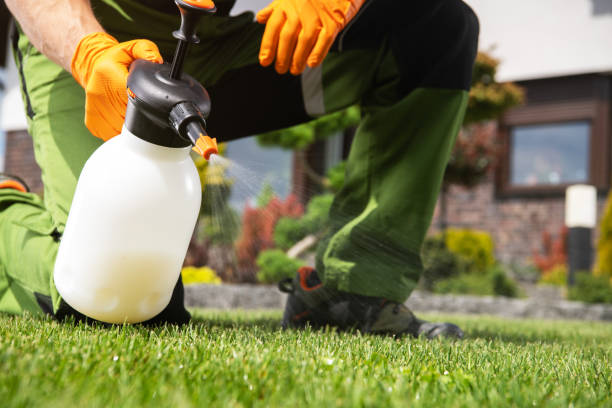 Best Ant Control Services  in Oracle, AZ