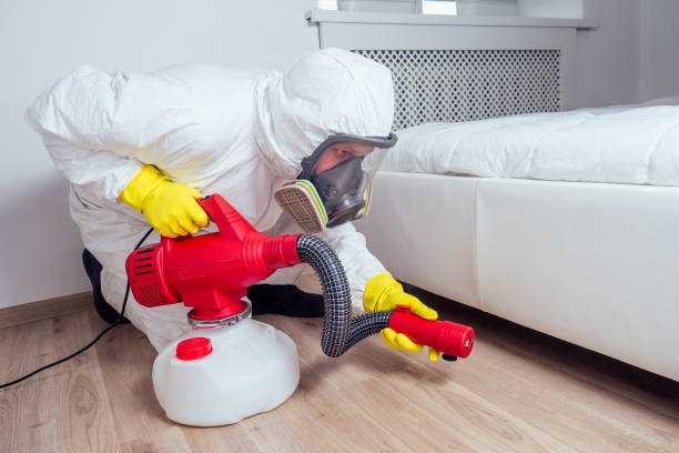 Best Residential Pest Control  in Oracle, AZ