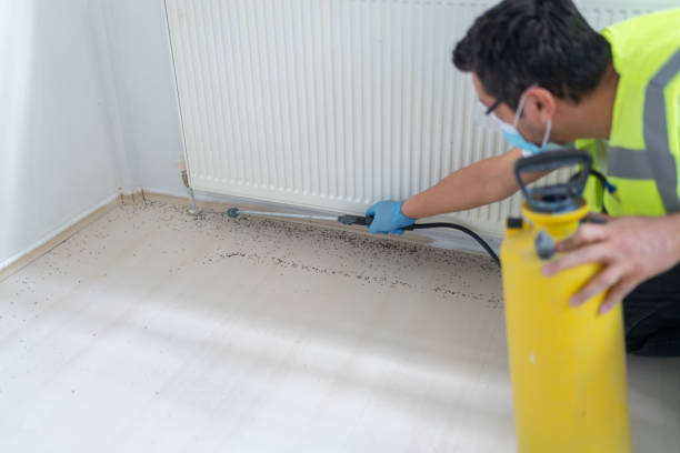 Best Affordable Pest Control Services  in Oracle, AZ