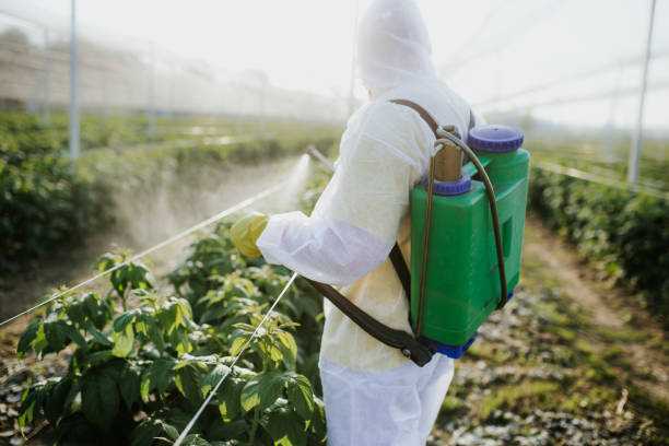 Reliable Oracle, AZ Pest Control Solutions
